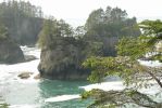 PICTURES/Cape Flattery Trail/t_Islands.JPG